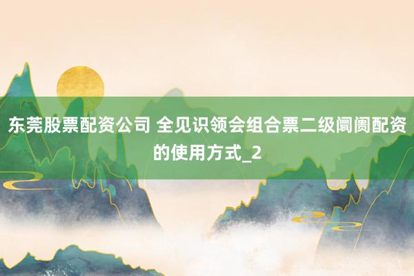 东莞股票配资公司 全见识领会组合票二级阛阓配资的使用方式_2