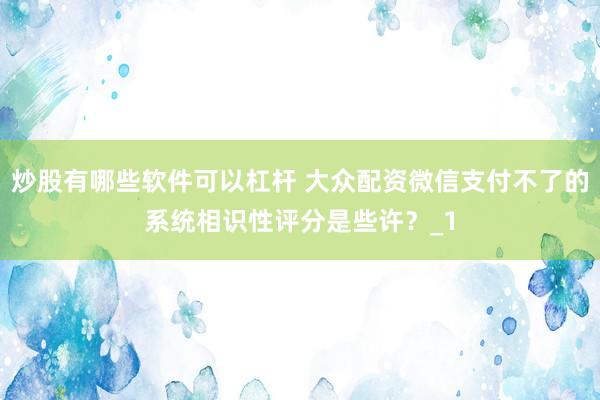 炒股有哪些软件可以杠杆 大众配资微信支付不了的系统相识性评分是些许？_1