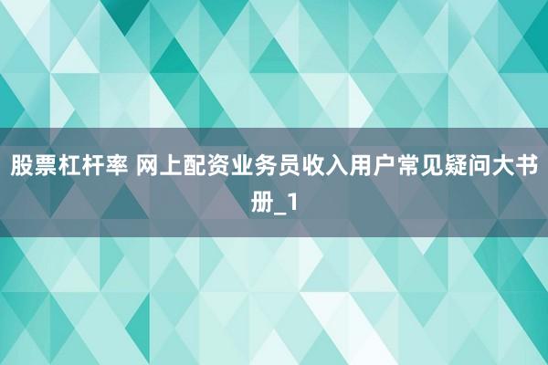 股票杠杆率 网上配资业务员收入用户常见疑问大书册_1