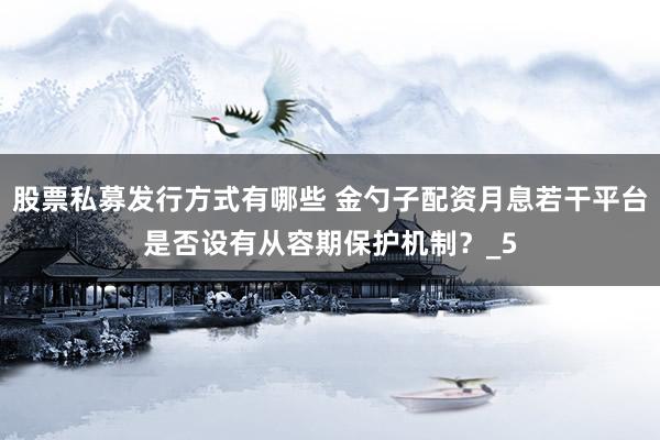 股票私募发行方式有哪些 金勺子配资月息若干平台是否设有从容期保护机制？_5