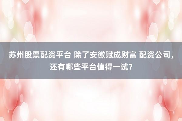 苏州股票配资平台 除了安徽赋成财富 配资公司，还有哪些平台值得一试？