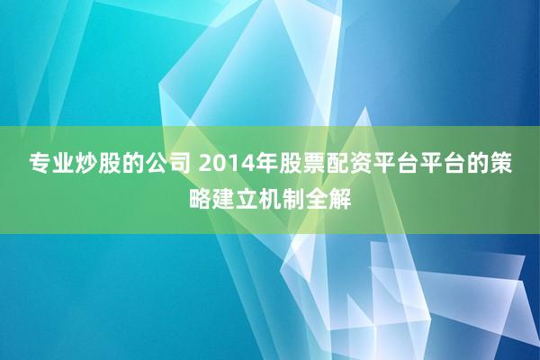 专业炒股的公司 2014年股票配资平台平台的策略建立机制全解