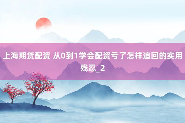 上海期货配资 从0到1学会配资亏了怎样追回的实用残忍_2