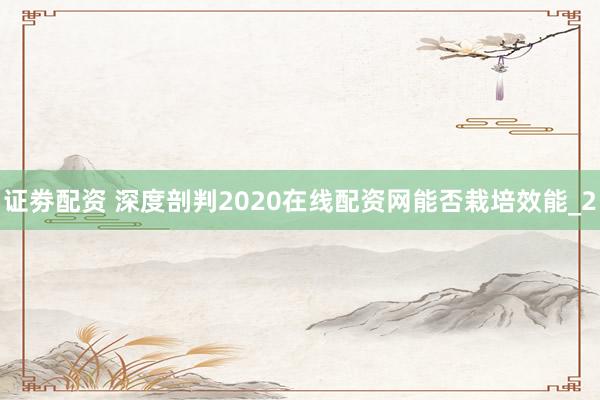 证劵配资 深度剖判2020在线配资网能否栽培效能_2