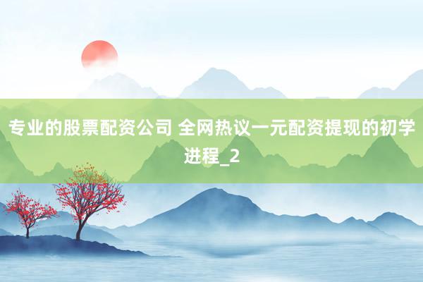 专业的股票配资公司 全网热议一元配资提现的初学进程_2