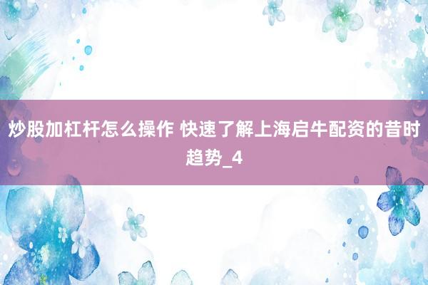 炒股加杠杆怎么操作 快速了解上海启牛配资的昔时趋势_4