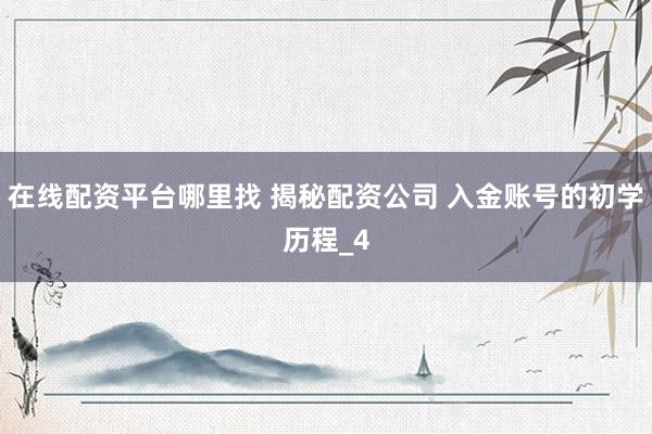 在线配资平台哪里找 揭秘配资公司 入金账号的初学历程_4