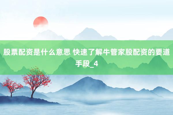 股票配资是什么意思 快速了解牛管家股配资的要道手段_4