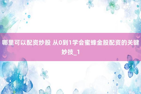 哪里可以配资炒股 从0到1学会蜜蜂金股配资的关键妙技_1