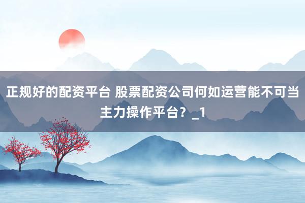 正规好的配资平台 股票配资公司何如运营能不可当主力操作平台？_1