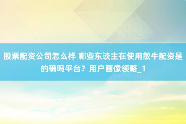 股票配资公司怎么样 哪些东谈主在使用散牛配资是的确吗平台？用户画像领略_1