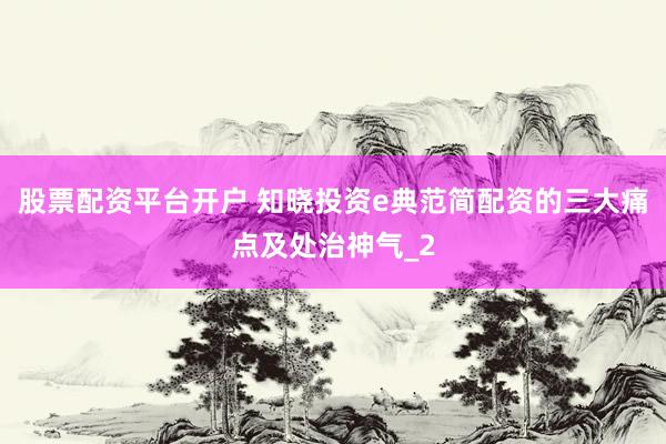 股票配资平台开户 知晓投资e典范简配资的三大痛点及处治神气_2