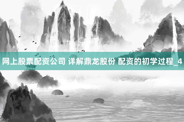 网上股票配资公司 详解鼎龙股份 配资的初学过程_4