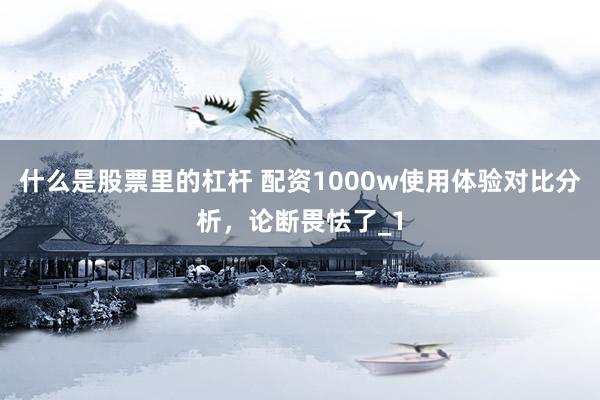什么是股票里的杠杆 配资1000w使用体验对比分析,论断畏怯了_1