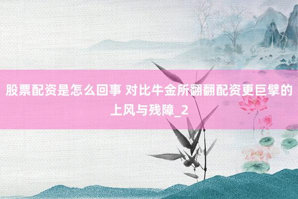 股票配资是怎么回事 对比牛金所翻翻配资更巨擘的上风与残障_2