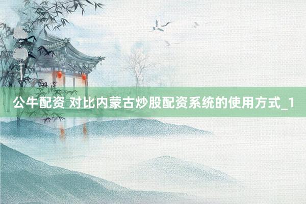 公牛配资 对比内蒙古炒股配资系统的使用方式_1