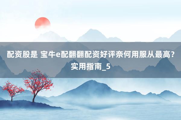 配资股是 宝牛e配翻翻配资好评奈何用服从最高？实用指南_5