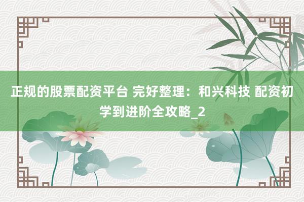 正规的股票配资平台 完好整理：和兴科技 配资初学到进阶全攻略_2