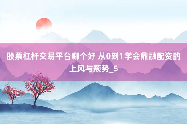 股票杠杆交易平台哪个好 从0到1学会鼎融配资的上风与颓势_5