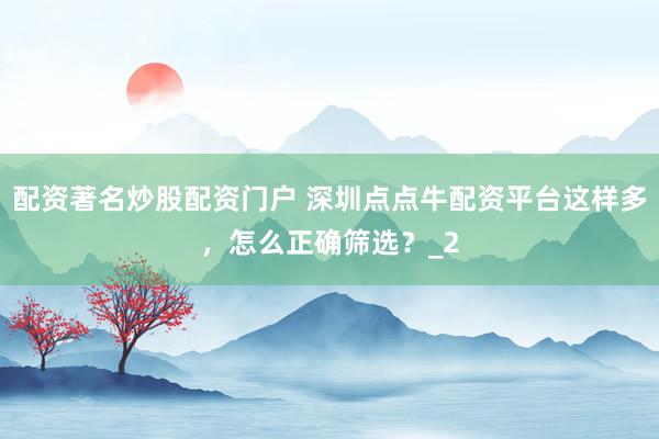 配资著名炒股配资门户 深圳点点牛配资平台这样多，怎么正确筛选？_2