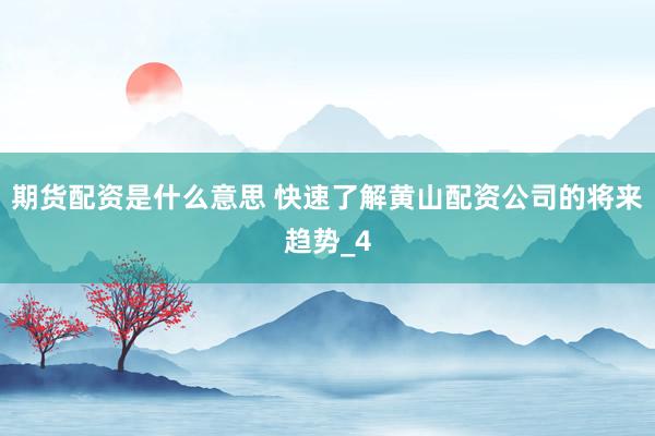 期货配资是什么意思 快速了解黄山配资公司的将来趋势_4