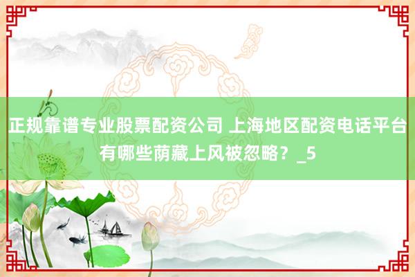 正规靠谱专业股票配资公司 上海地区配资电话平台有哪些荫藏上风被忽略？_5