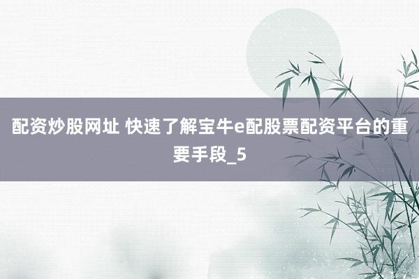 配资炒股网址 快速了解宝牛e配股票配资平台的重要手段_5